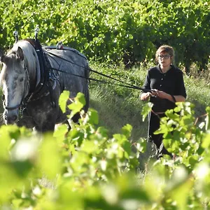 Domaine Houillon Faucon (Vaucluse)