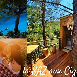 Dans Les Arbres La Kaz Aux Cigales Cuers